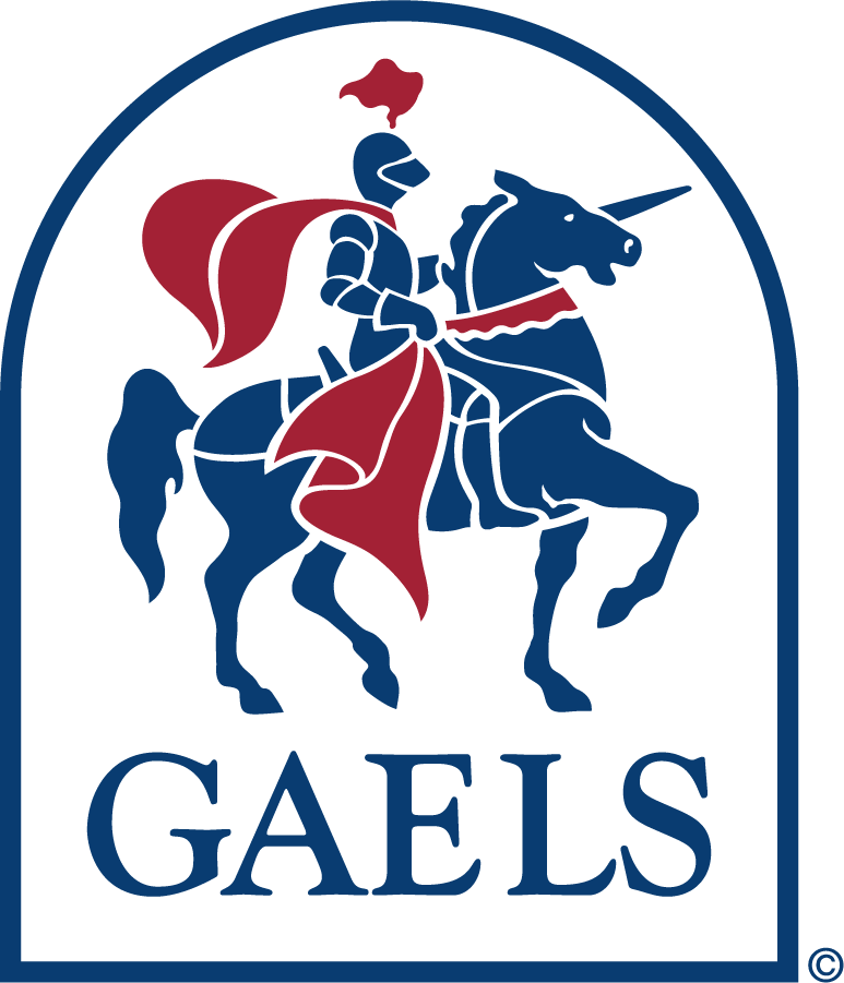Saint Marys Gaels 1991-2000 Primary Logo diy iron on heat transfer